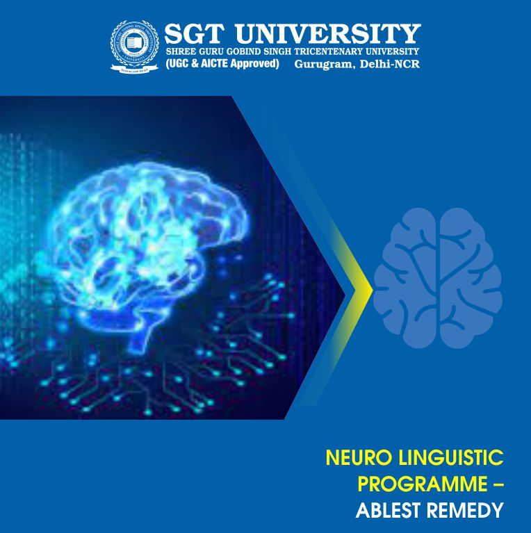 Neuro linguistic Programme – Ablest Remedy