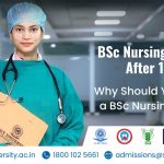 The Complete Guide to BSc Nursing Program After 12th Grade: Course, Syllabus, Colleges, Admission, Eligibility, Fees, and Career Opportunities